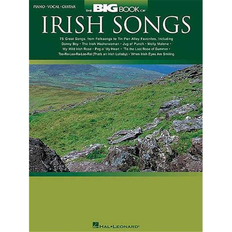 Compilation - Big Vol.of Irish Songs P/V/G