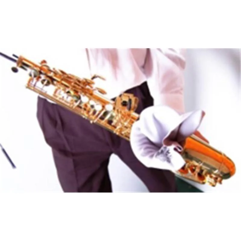 Ecouvillon Saxophone Alto BG A30
