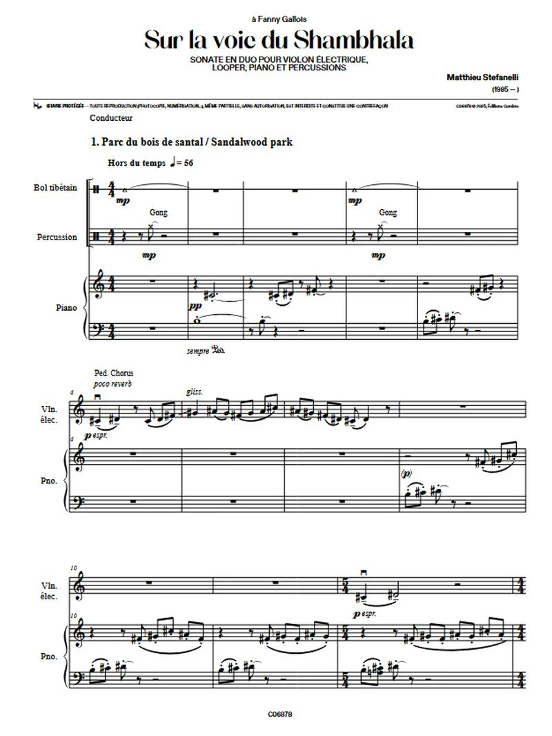 Stefanelli Matthieu - Sur la voie du Shambhala : sonate en duo pour violon électronique, looper, piano et percussions - Conducteur - Image 2